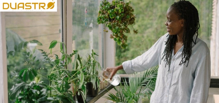 Astrological Plants and Emotional Well-being 
